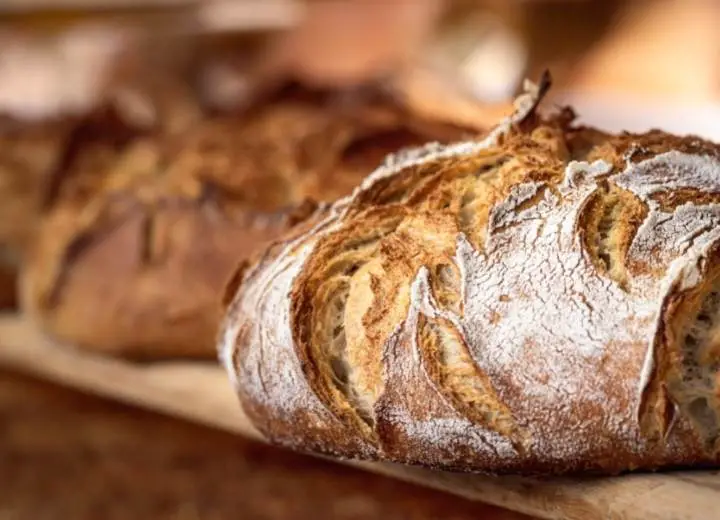 Why Should Vegans Eat Sourdough Bread