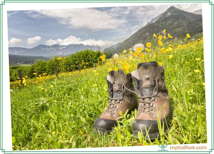 Hiking Boots Vs. Hunting Boots What Are The Differences