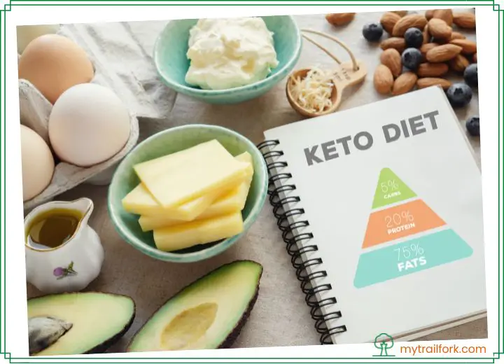 Top rated 5 Best Keto Diet Plan Reviews For Beginners