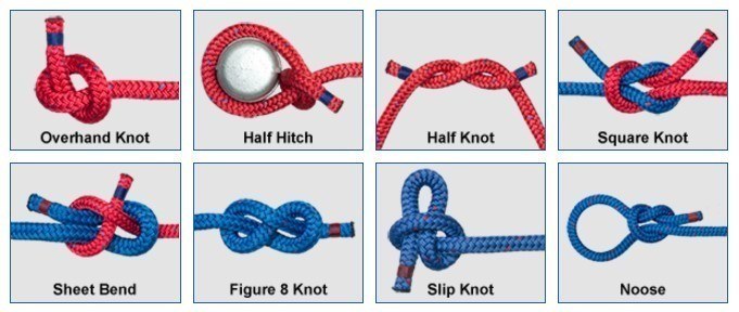 basic camping knots