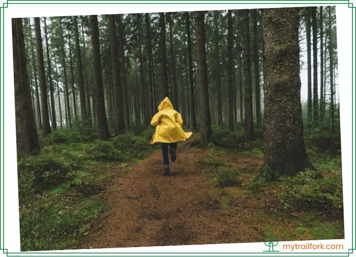 Hiking Poncho Vs. Rain Jacket Which Should You Choose