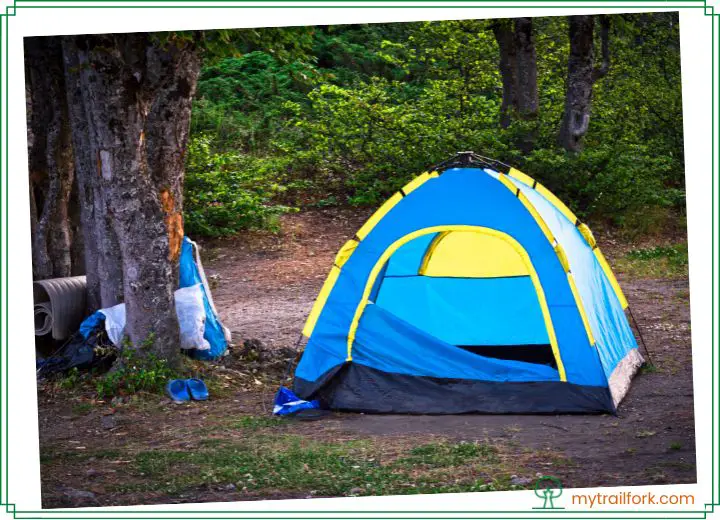 Hiking Tent Vs. Camping Tent: Which Is The Right Product For You?