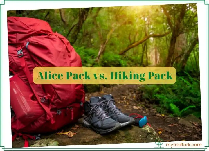 Alice Pack vs. Hiking Pack