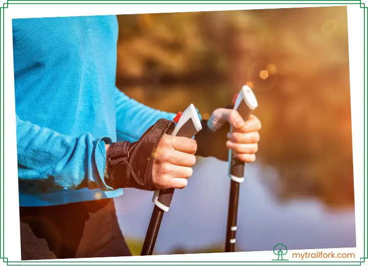 Comparison Between Hiking Pole Vs. Ski Pole Which One Should You Choose