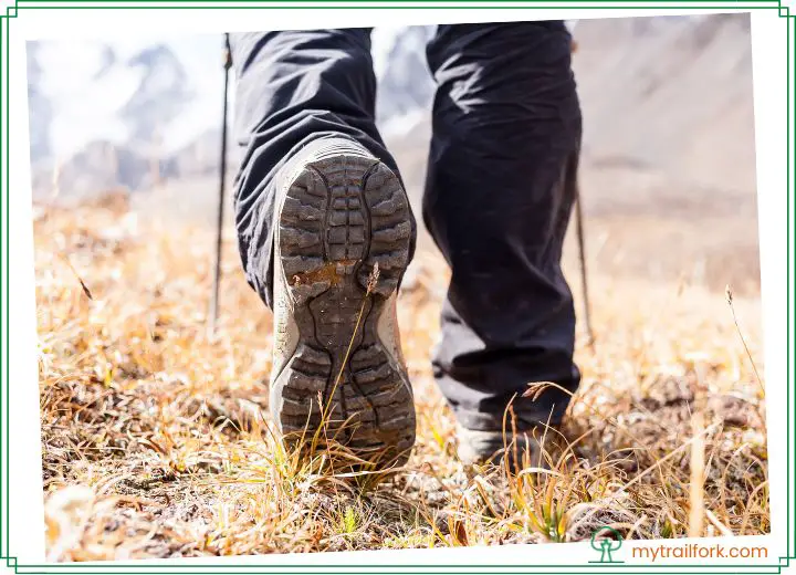 Jongleren Aap Doorbraak Scarpa Vs. LOWA Hiking Boots: Choose The Better For Your Next Hiking Trips